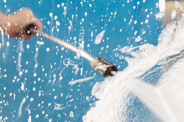 Animal Enclosure Cleaning in East Hills, NY