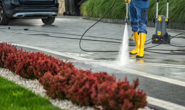 Best Dumpster Area Cleaning  in East Hills, NY